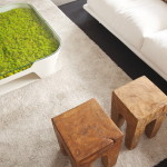 furniture-moss-design